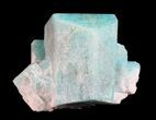 Amazonite Crystal - Colorado #61380-1